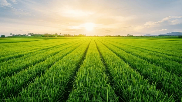 Technologies du futur